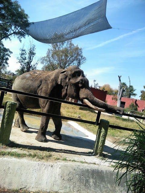 Zoologico De Morelia Herpetario