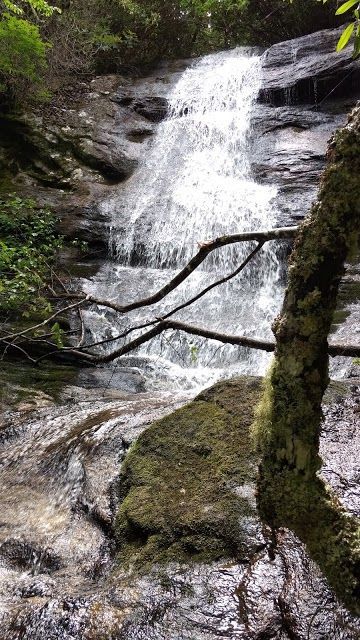 Ranger Falls Loop Trail