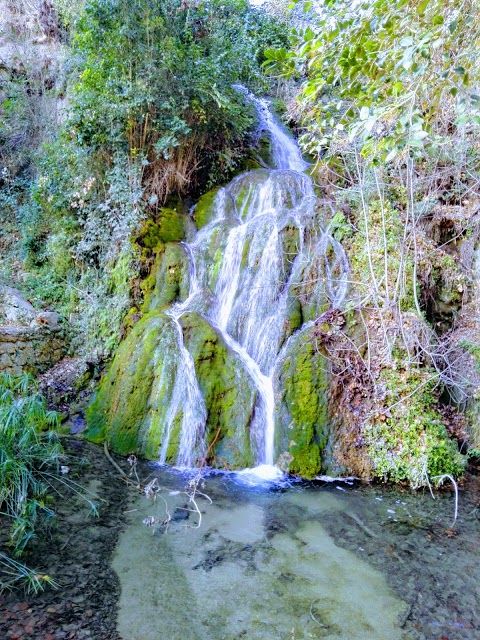 Floresta Park