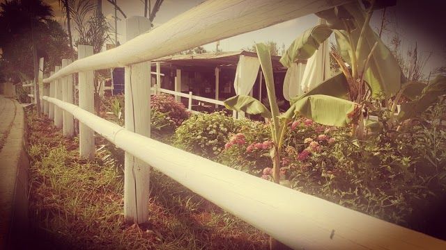 Lido Bambu