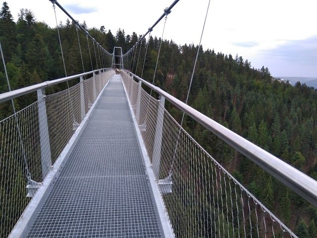 Wildline