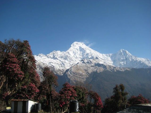 Ghorepani Poon Hill Trekking