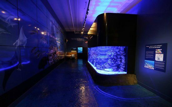 Mokupapapa Discovery Center