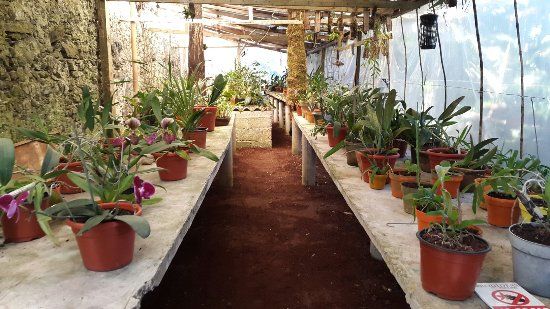 Museo de La Orquídea