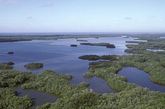 Rookery Bay National Estuarine Research Reserve