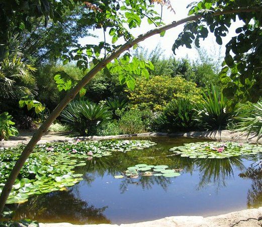 San Diego Botanic Garden