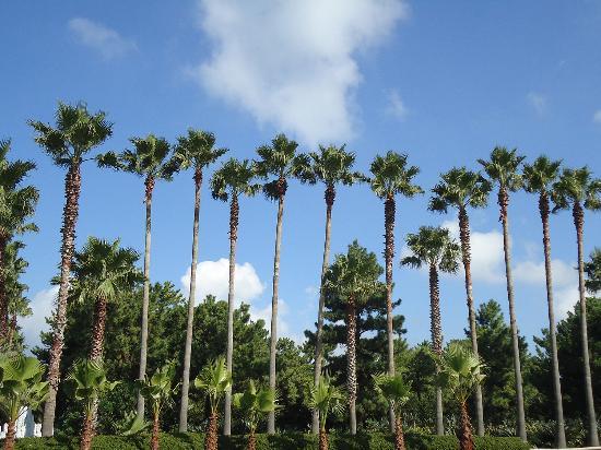 Hallim Parkı