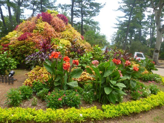 Botanischer Garten von Aoshima
