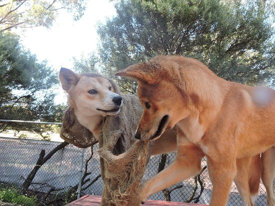 Bunbury Wildlife Park