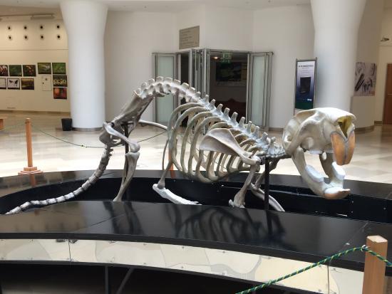 Hungarian Natural History Museum