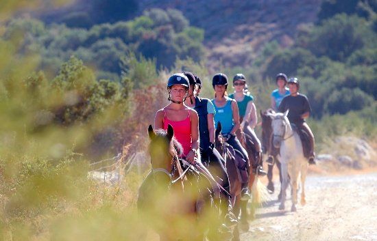 Odysseia Stables