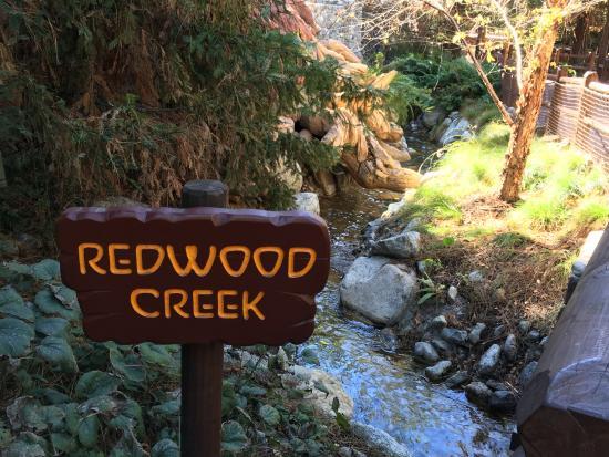 Redwood Creek Challenge Trail