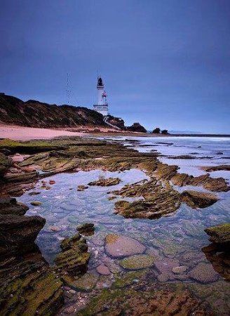 Marine and Freshwater Discovery Centre