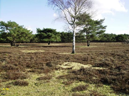 Goois Natuurreservaat