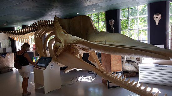 De Noordwester Information Centre