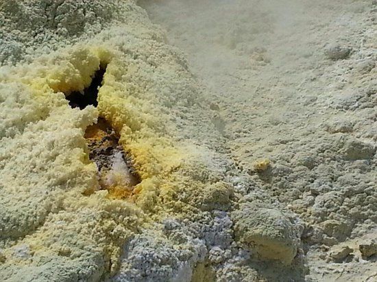 Centro Operativo Marcello Carapezza