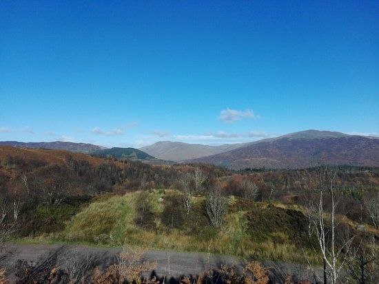 Queen Elizabeth Forest Park