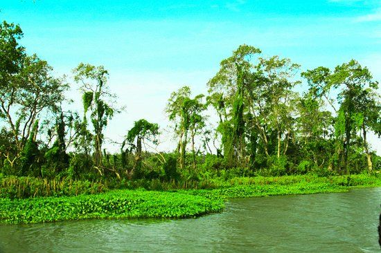 Walawe River Safari