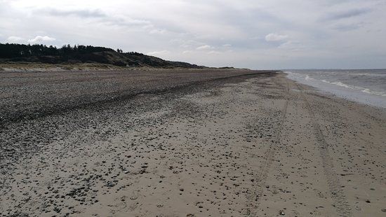 Svinklov Klitplantage