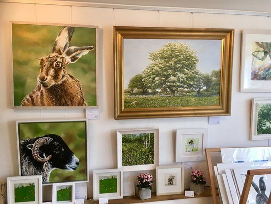 Wildwood Arts Dartmoor