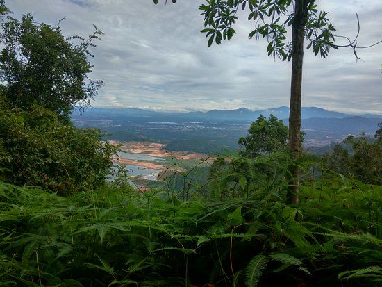Bukit Mertajam Recreational Forest