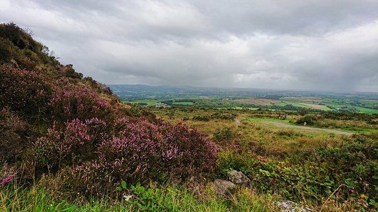 Kit Hill Country Park