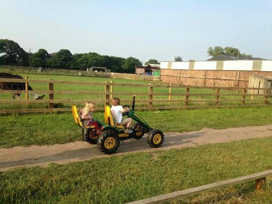 Windmill Animal Farm