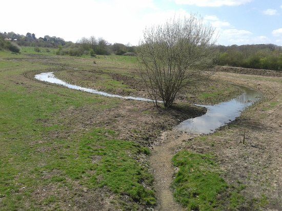 Reserve naturelle de Mill Field