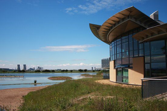 RSPB Saltholme