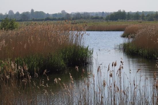North Cave Wetlands Nature Reserve