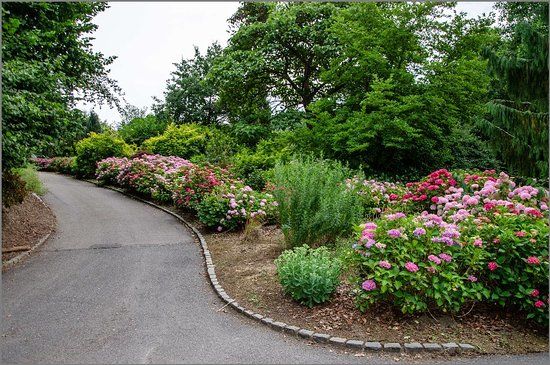 Dohmenpark
