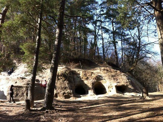 Grottes Du Vully