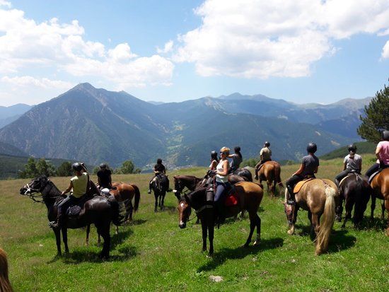 L'Aldosa Horse Center & Trails