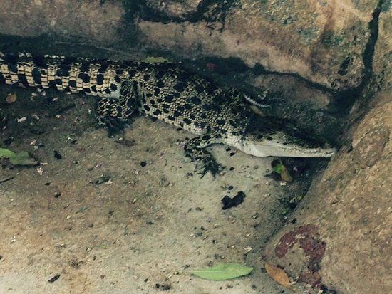 Taman Buaya & Rekreasi Melaka