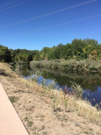 Pineridge Natural Area