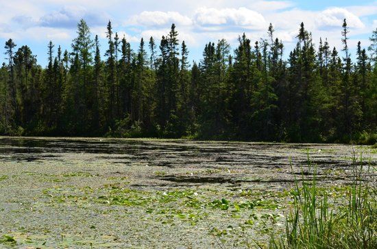 Rice Lake National Refuge