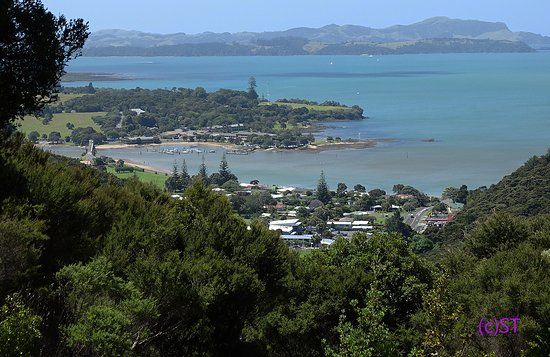 Opua Forest Paihia Lookout Track