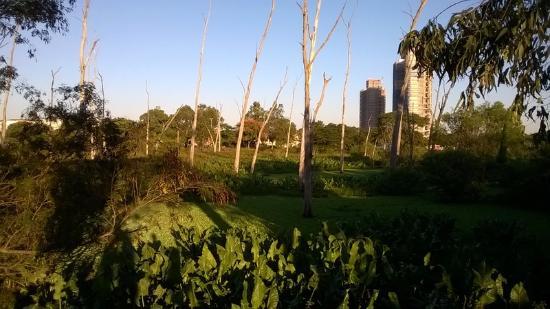 Marechal Mascarenhas de Moraes Park