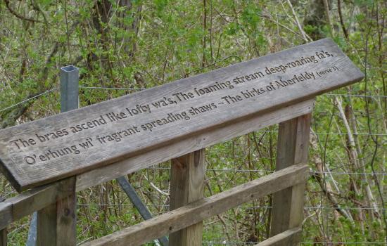 The Birks of Aberfeldy