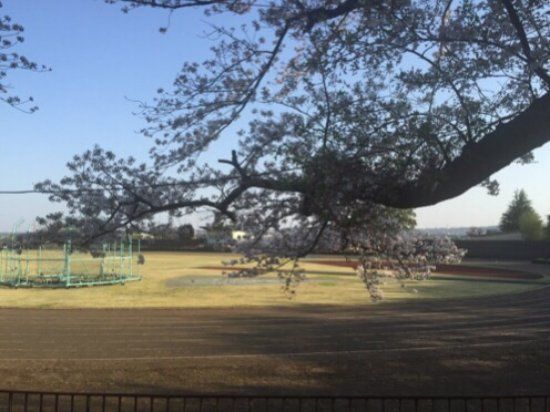 Tachikawa Park Athletics Stadium