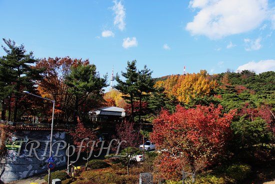 Jardins Botânicos de Namsan