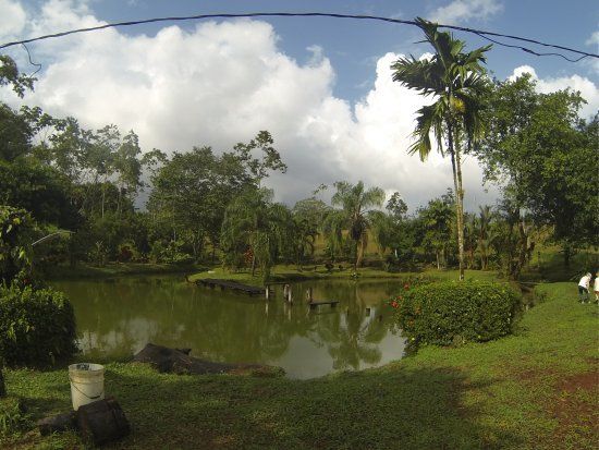 Finca Sura