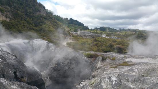 Te Whakarewarewa Geothermal Valley