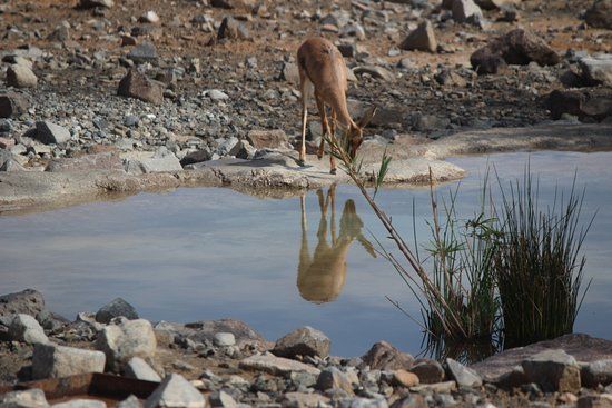 Al Hefaiyah Mountain Conservation Centre