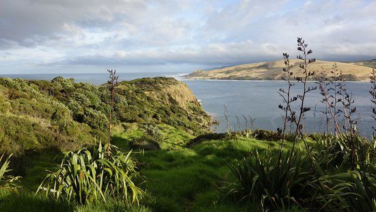 Waimamaku Coastal Track