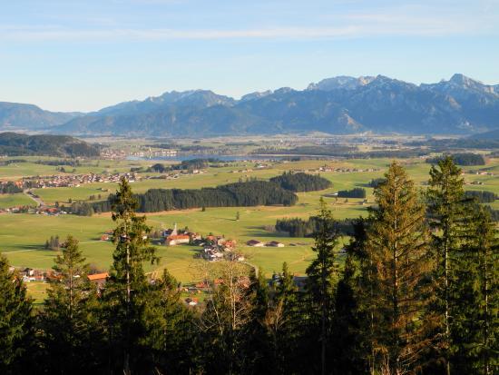 Burgruine Eisenberg