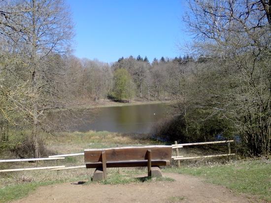 Windsborn-Kratersee