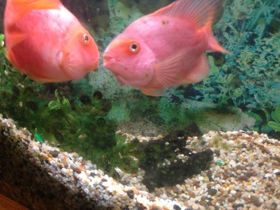 Eastern City Chinese Restaurant