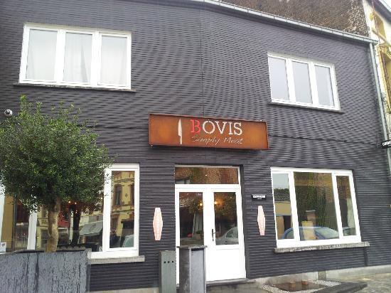 Bovis