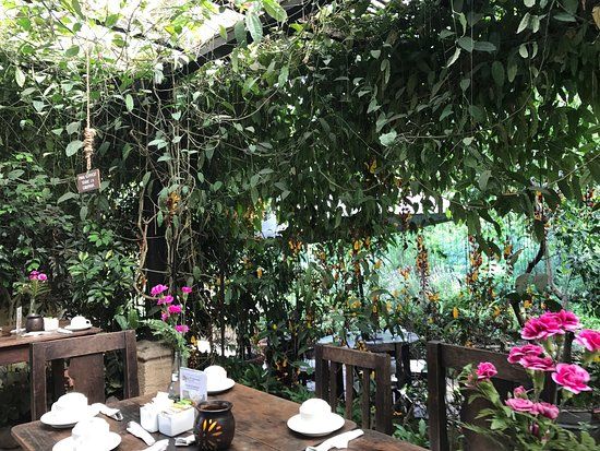 Vivero y Cafe de la Escalonia